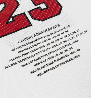 NIKE JORDAN CANOTTA CON NUMERO SU PETTO UOMO HF9375 100