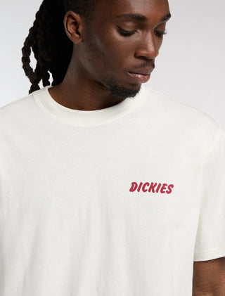 DICKIES T-SHIRT DRY RIDGE UOMO DK0A8853C48