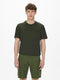 OLIVE NIGHT