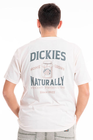 DICKIES T-SHIRT ELLISTON SHORT SLEEVES UOMO DK0A4YRMC581