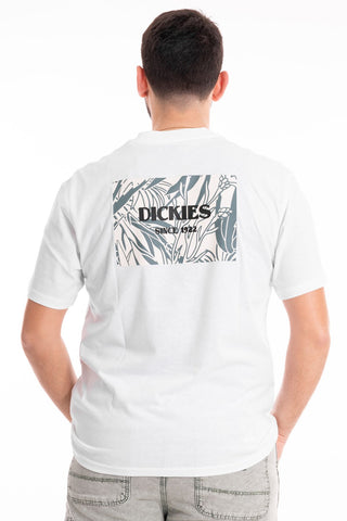 DICKIES T-SHIRT MAX MEADOWS SHORT SLEEVES UOMO DK0A4YRLWHX1