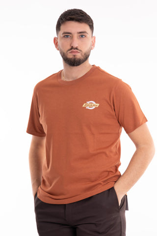 DICKIES T-SHIRT SHORT SLEEVES RUSTON MEN DK0A4XDCH161