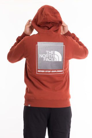 THE NORTH FACE M TACUNE HOODIE NF0A858NUBC1