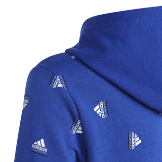 ADIDAS BLUV HOODIE Q1 JR HZ1141