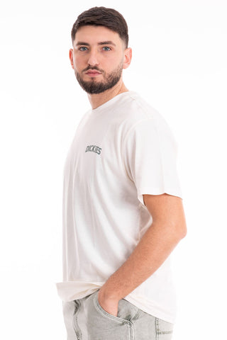 DICKIES T-SHIRT ELLISTON SHORT SLEEVES UOMO DK0A4YRMC581