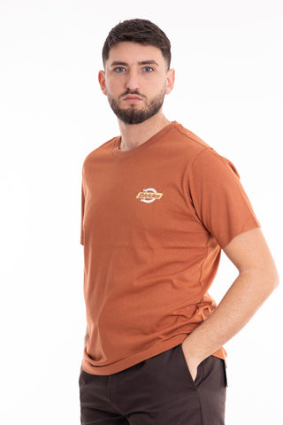 DICKIES T-SHIRT SHORT SLEEVES RUSTON MEN DK0A4XDCH161