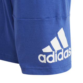 ADIDAS BL CO T-SHIRT SET JR IC3836