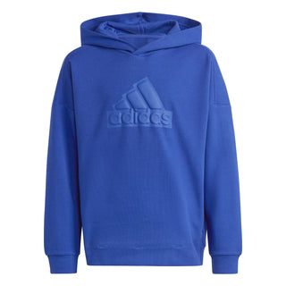 ADIDAS FUTURE ICONS LOGO HOODIE JR HR6303