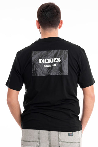 DICKIES MEN'S T-SHIRT MAX MEADOWS SHORT SLEEVES DK0A4YRLBLK1
