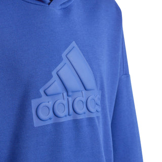 ADIDAS FUTURE ICONS LOGO HOODIE JR HR6303