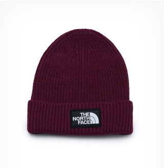 THE NORTH FACE M LOGO BOX CUFFED BEANIE NF0A3FJXI0H1