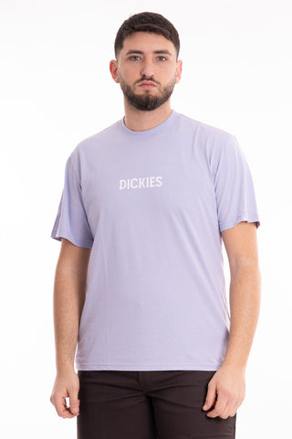 DICKIES MEN'S T-SHIRT SHORT SLEEVES PATRICK SPRINGS DK0A4YR7H181