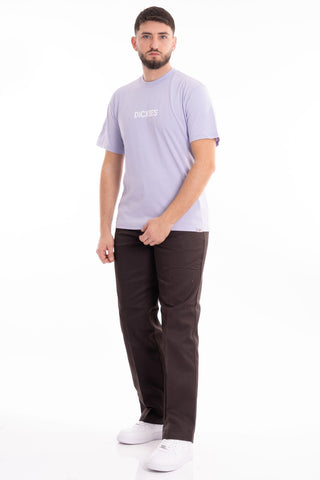 DICKIES MEN'S T-SHIRT SHORT SLEEVES PATRICK SPRINGS DK0A4YR7H181