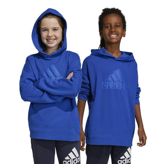 ADIDAS FUTURE ICONS LOGO HOODIE JR HR6303