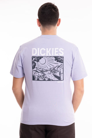 DICKIES MEN'S T-SHIRT SHORT SLEEVES PATRICK SPRINGS DK0A4YR7H181